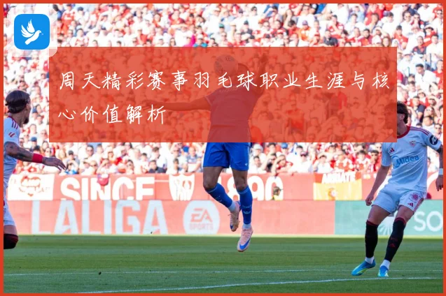 周天精彩赛事羽毛球职业生涯与核心价值解析