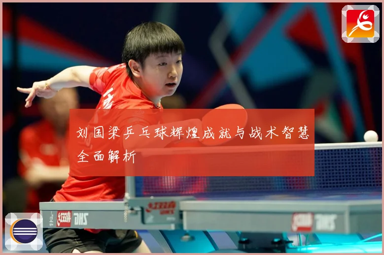 刘国梁乒乓球辉煌成就与战术智慧全面解析