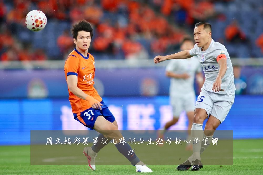 周天精彩赛事羽毛球职业生涯与核心价值解析